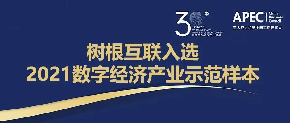 最佳实践！美狮贵宾会·(中国大陆)官方网站获评APEC“中国数字经济产业示范样本”