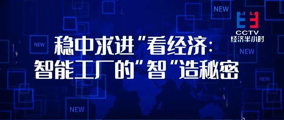 央视“打卡”！借力美狮贵宾会·(中国大陆)官方网站，这座工厂人均产值超1000万