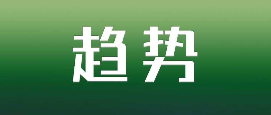 深入实施数字化转型，推动轻工业高质量发展